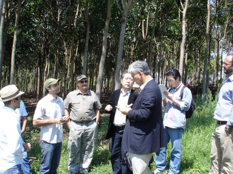 20101022フローラ