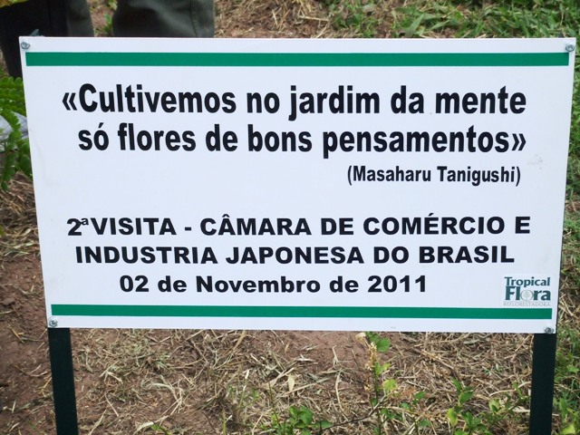 20111202フローラ2