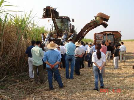070920 砂糖キビ・エタノール工場見学会1